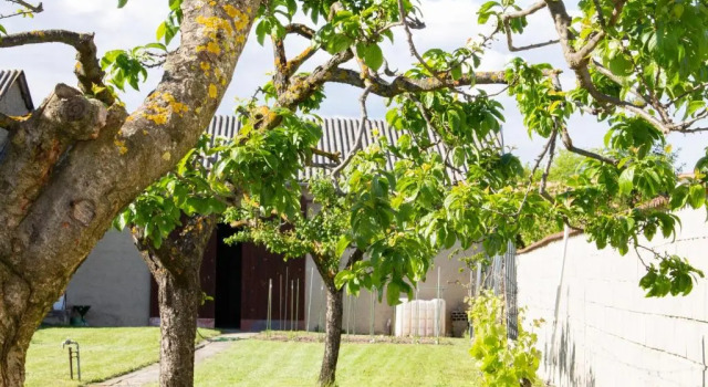 Апартаменты Ferienwohnung Casa Flora