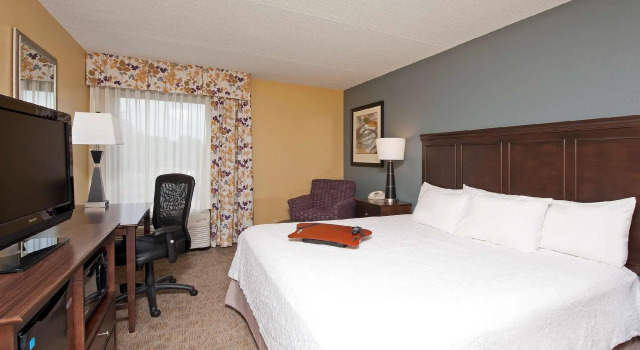Одноместный номер Deluxe Hampton Inn Janesville