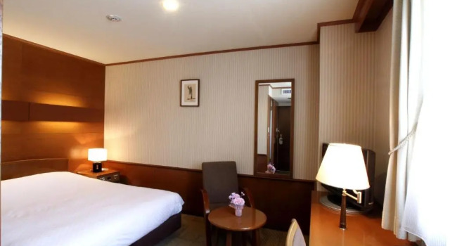 Двухместный номер Standard Daiichi Inn Park