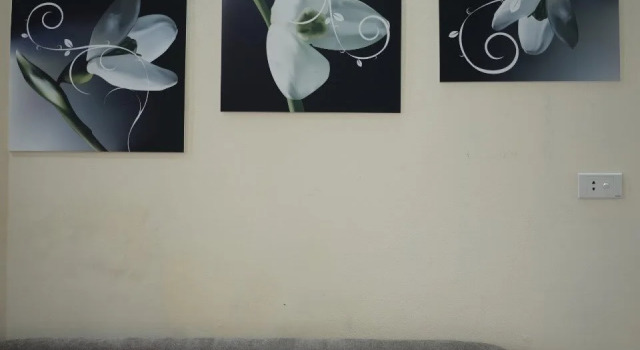 Peony House Trade Hotel II, Забронировать Отель Бадинь Ханой
