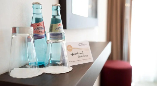 Двухместный номер Standard Kongresshotel Potsdam am Templiner See