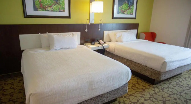 Четырёхместный номер Premium Hilton Garden Inn Temple Medical Center