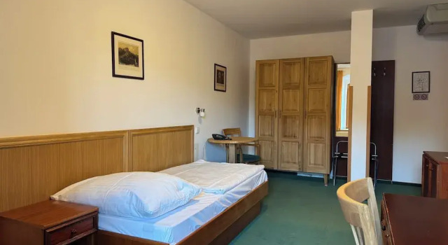Одноместный номер Standard с видом на город LH Hotel Mlýn