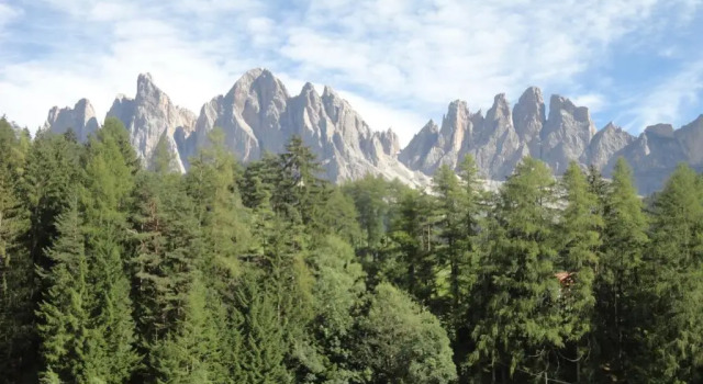Fallerhof