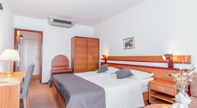Двухместный номер Superior Hotel Horizont