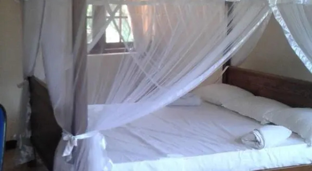 The Lotus Blue - Hostel, Забронировать Хостел Канди 