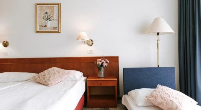 Номер Standard Hotel Toplice