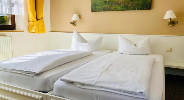 Двухместный номер Standard Hotel & Restaurant Waldblick