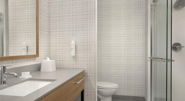 Номер Standard Hampton Inn By Hilton Dexter
