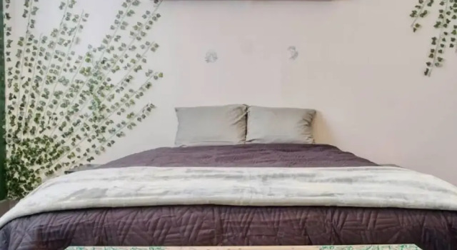 Апартаменты Artistic 1BR - APT - Near Downtown Mass Ave