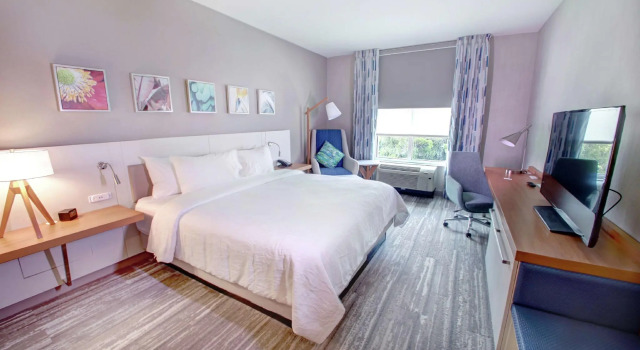 Двухместный номер Standard Hilton Garden Inn Tampa - Wesley Chapel