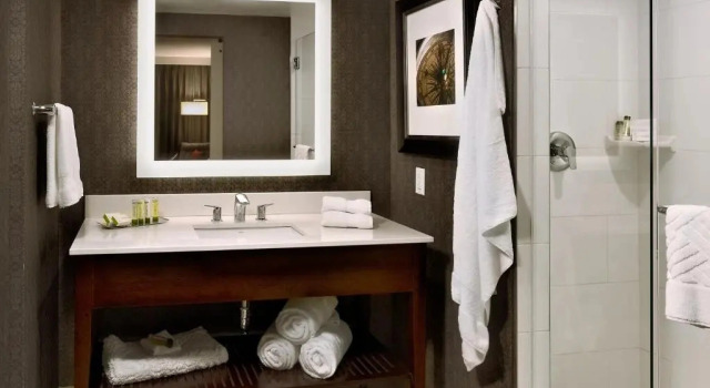 Одноместный люкс c 1 комнатой DoubleTree Hotel & Suites Charleston Airport