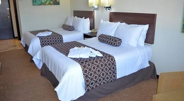 Номер Standard Wyndham Executivo Culiacan