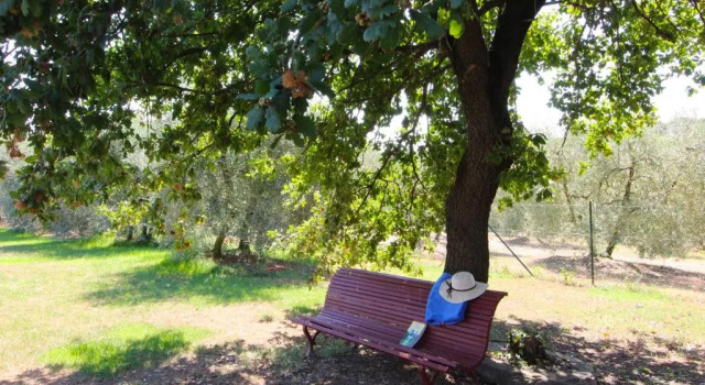 Вилла Private Villa With Wifi, Private Pool, TV, Veranda, Pets Allowed, Parking, Close to Cortona