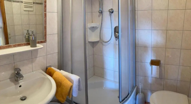 Двухместный номер Standard Haslehnerhof