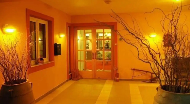 Dryas Hotel