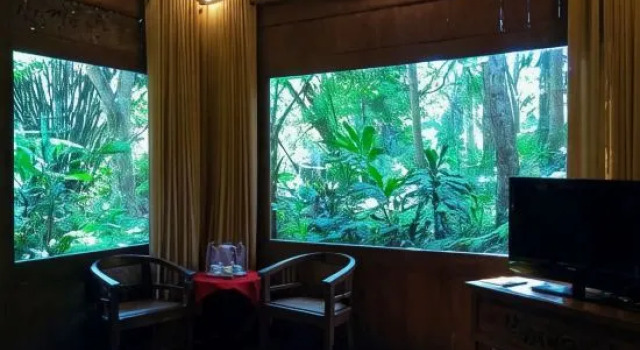 Suite mit Landblick Imah Seniman