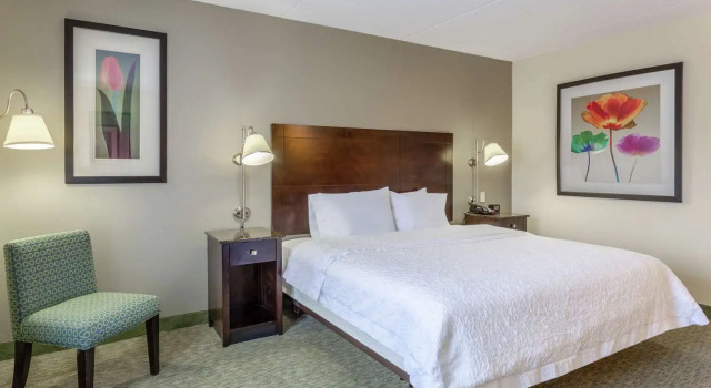 Номер Standard Hampton Inn Richmond - South