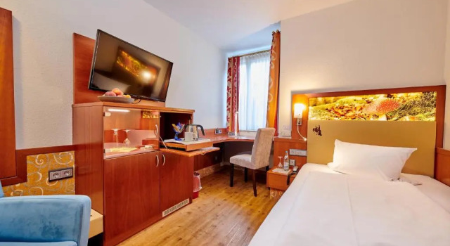 Одноместный номер Business Ringhotel Gasthof Hasen