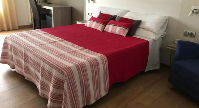 Двухместный номер Hotel Planas