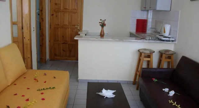 Апартаменты c 1 комнатой Semiz Apart Hotel