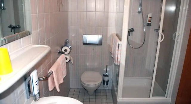 Номер Standard Hotel Birkenhof Garni