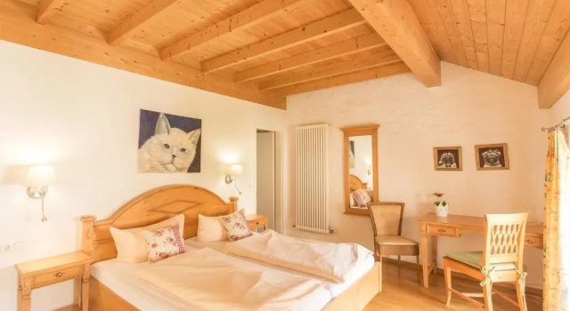 Двухместный номер Standard Hotel Leander