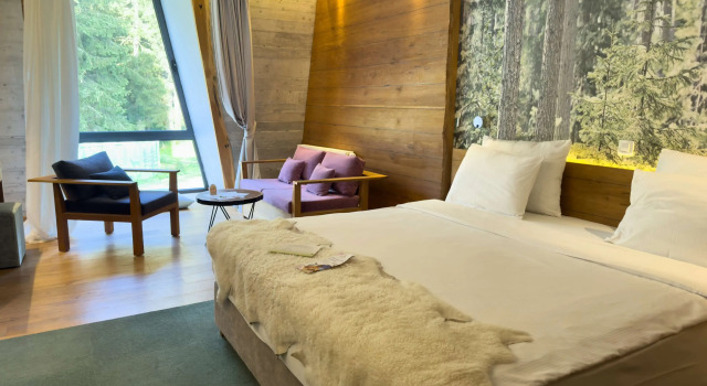 Двухместный номер Standard Pino Nature Hotel, BW Premier Collection