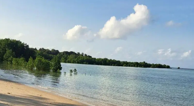 Двухместный номер Standard c 1 комнатой Menai Bay Beach Bungalows