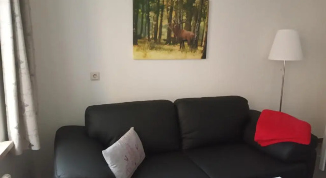 Апартаменты Haus Harzland