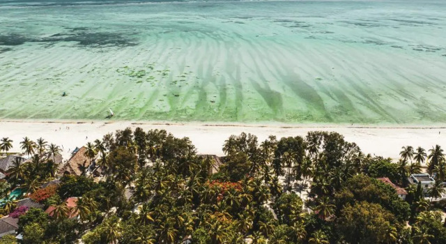 Номер Standard Kinazi Upepo Beach Eco Sport Resort