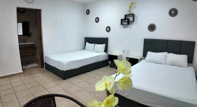 Hotel Bosque Caribe , 5th Av Zone