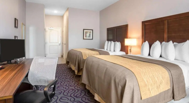 Четырёхместный номер Standard Comfort Inn & Suites Lovington