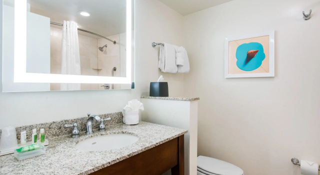 Двухместный номер Standard с балконом Holiday Inn Orlando - Disney Springs® Area by IHG