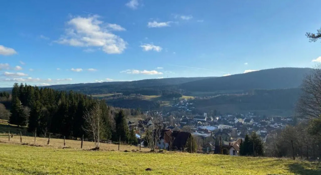 Апартаменты Auszeit im Schwarzwald
