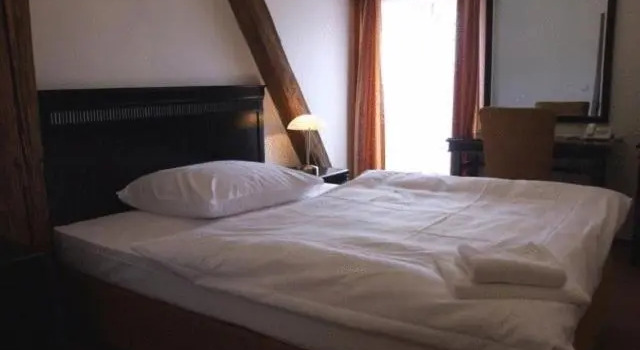 Номер Standard Hotel U Zeleneho stromu