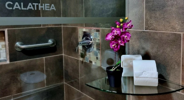 Номер Deluxe Calathea Hotel Monteverde