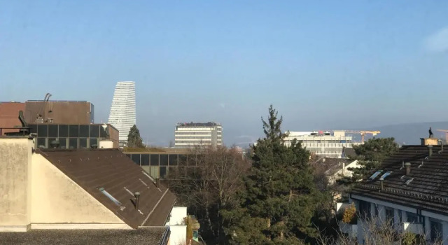 Апартаменты Center Basel