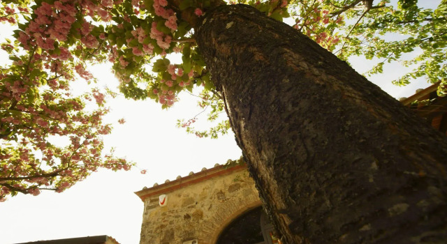 Podere Vignola, Varaa Hotelli Pontassieve Toscana
