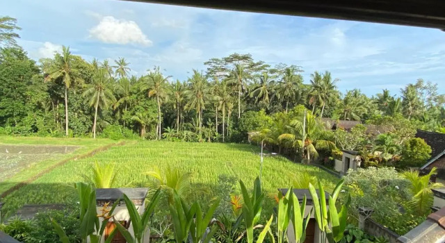 Двухместный номер Deluxe Dupa Ubud