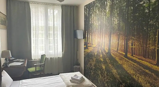 Номер Standard Hotel Jägerhof Kettwig