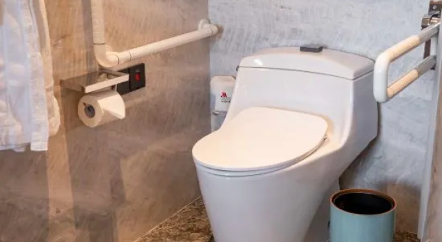Двухместный номер Standard Wuhan Marriott Hotel Wuchang