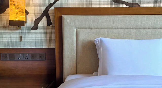 Номер Standard Crowne Plaza Resort Changbaishan Hot Spring by IHG