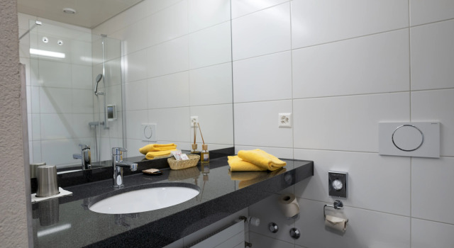 Двухместный номер Comfort Villmergen Swiss Quality Hotel