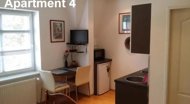 Студия Holiday Apartments Vítězná 1256/36