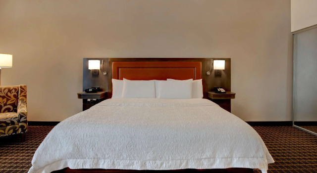 Двухместный номер Standard Hampton Inn & Suites Greenville-Downtown-Riverplace