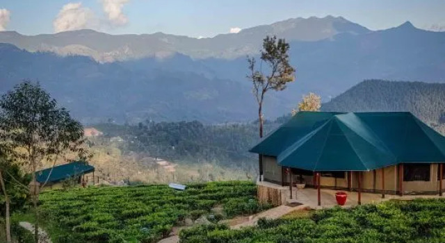 Люкс с видом на горы Madulkelle Tea and Eco Lodge
