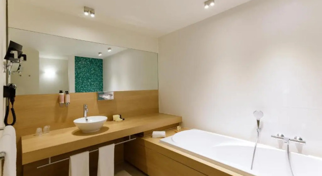 Полулюкс ibis Styles Kortrijk Expo