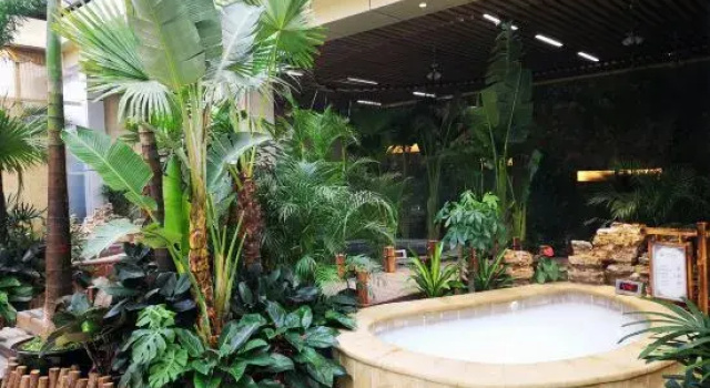 Baihualin Hot Spring Valley Hotel