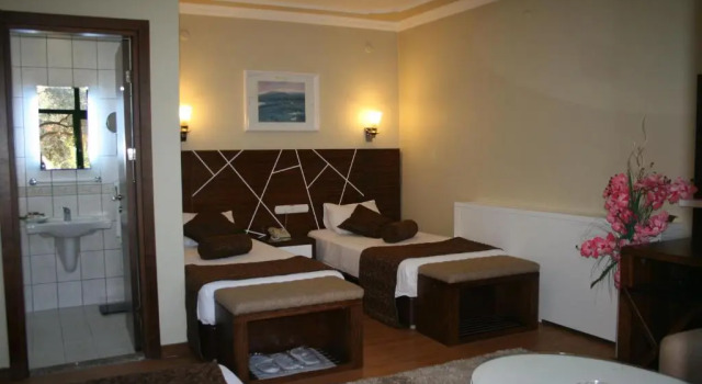 Трёхместный номер Standard с видом на сад Nysa Hotel